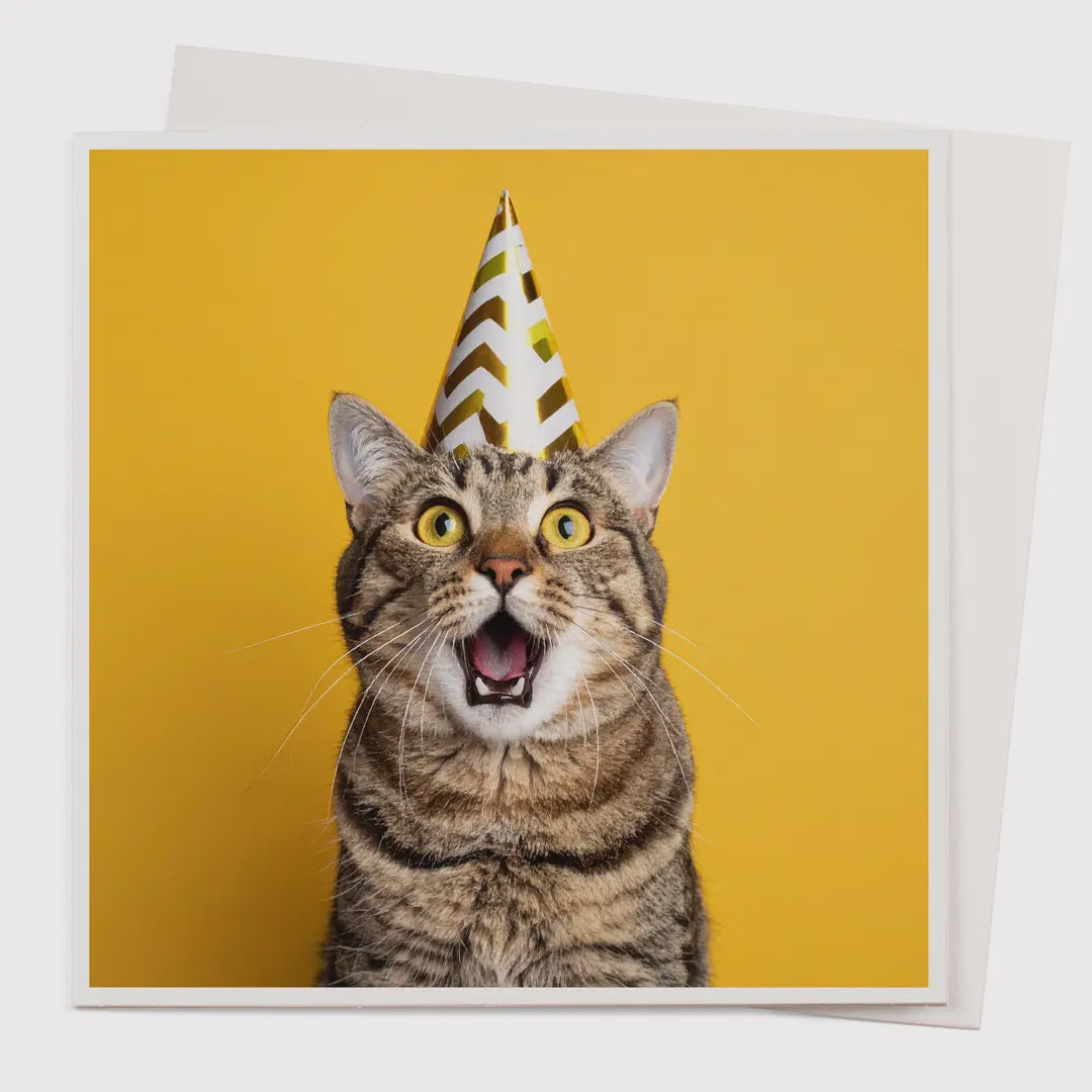 Cat in the Hat Card