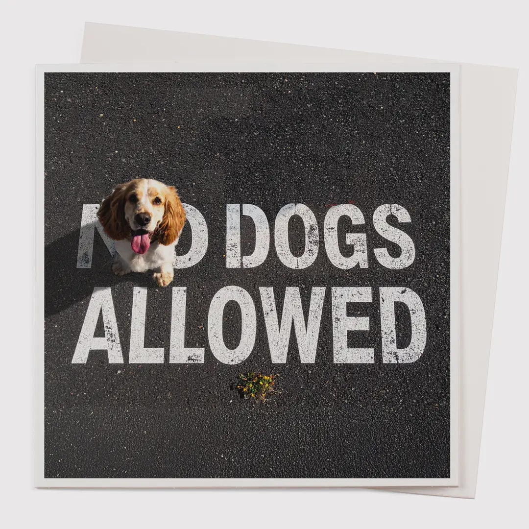 Dogs Allowed Card