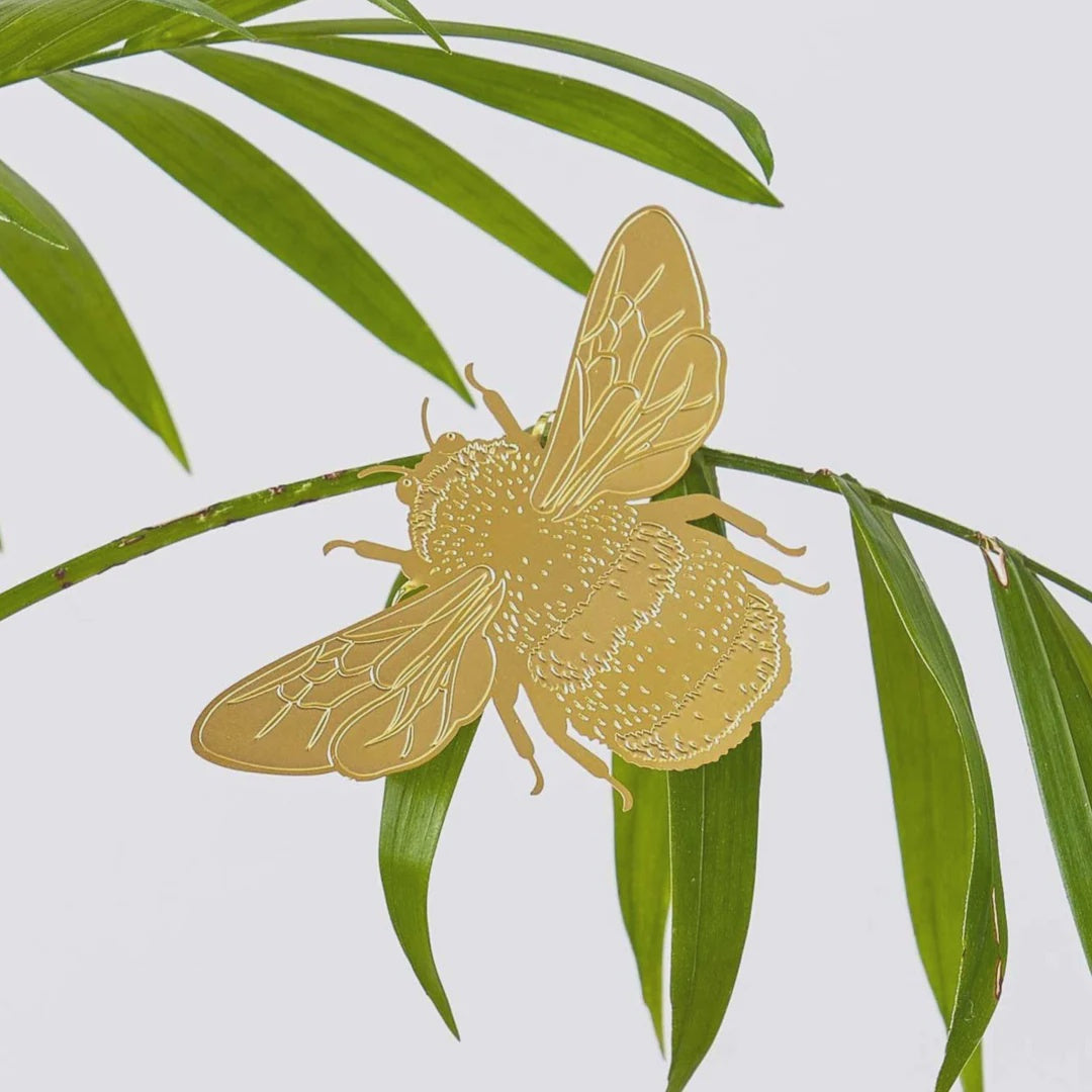 Plant Animal - Bumblebee