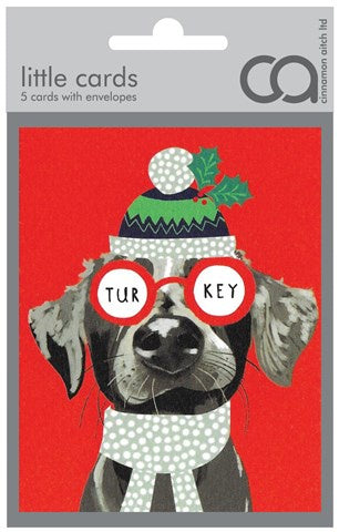 Note Cards - Turkey Glasses