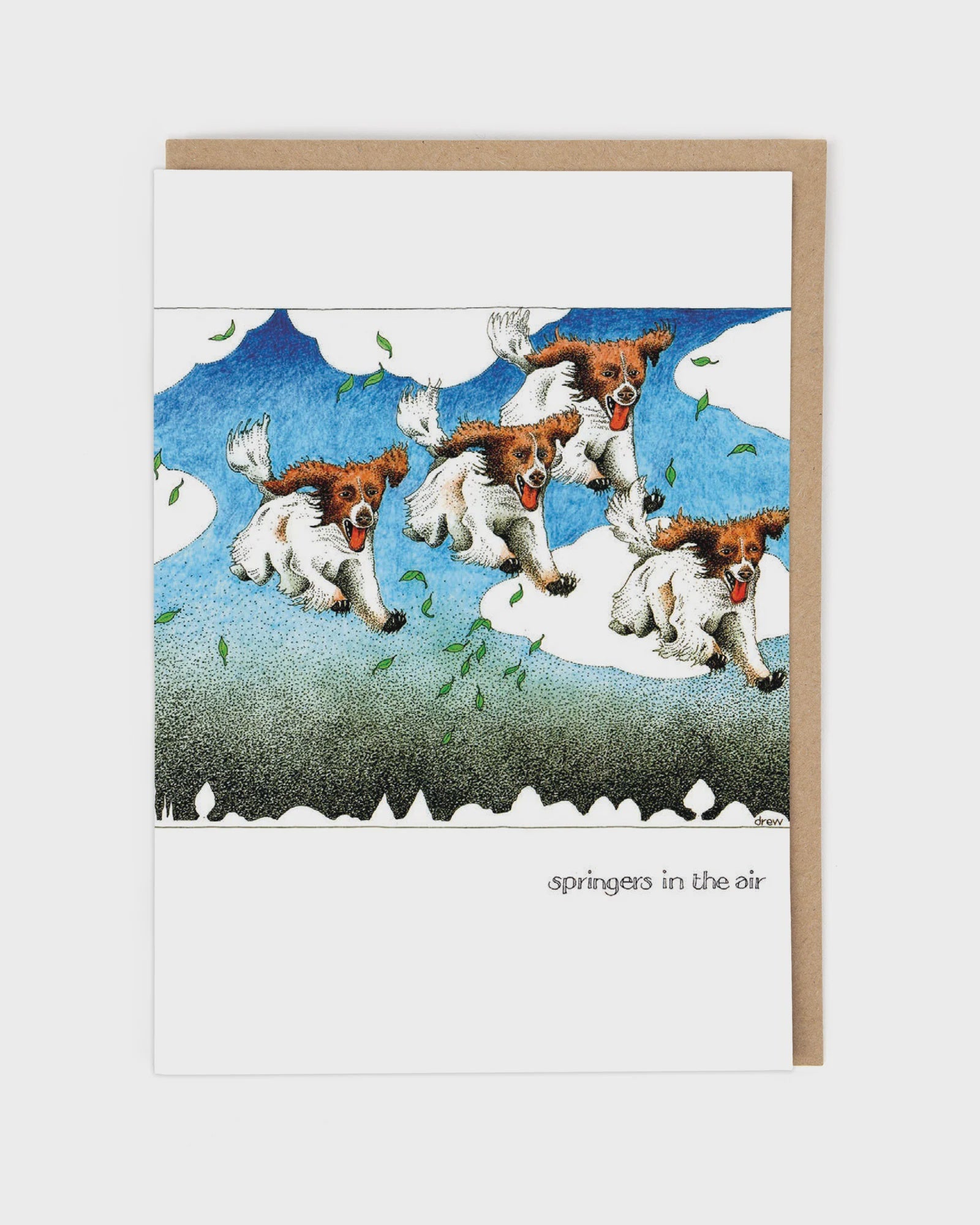 Springers In The Air Card
