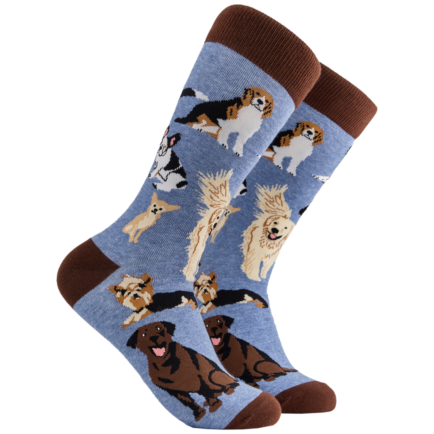 Dog Lover Socks - Blue - Large