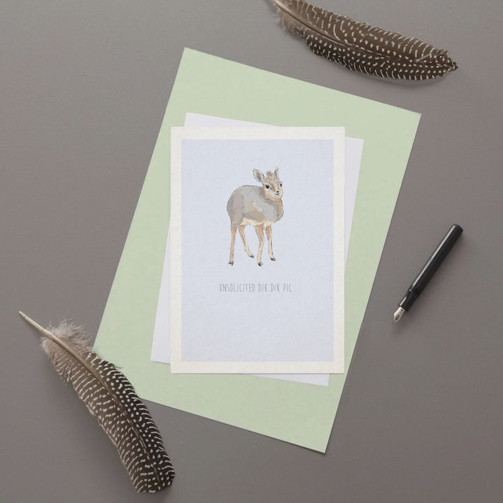Unsolicited Dik Dik Pic Card