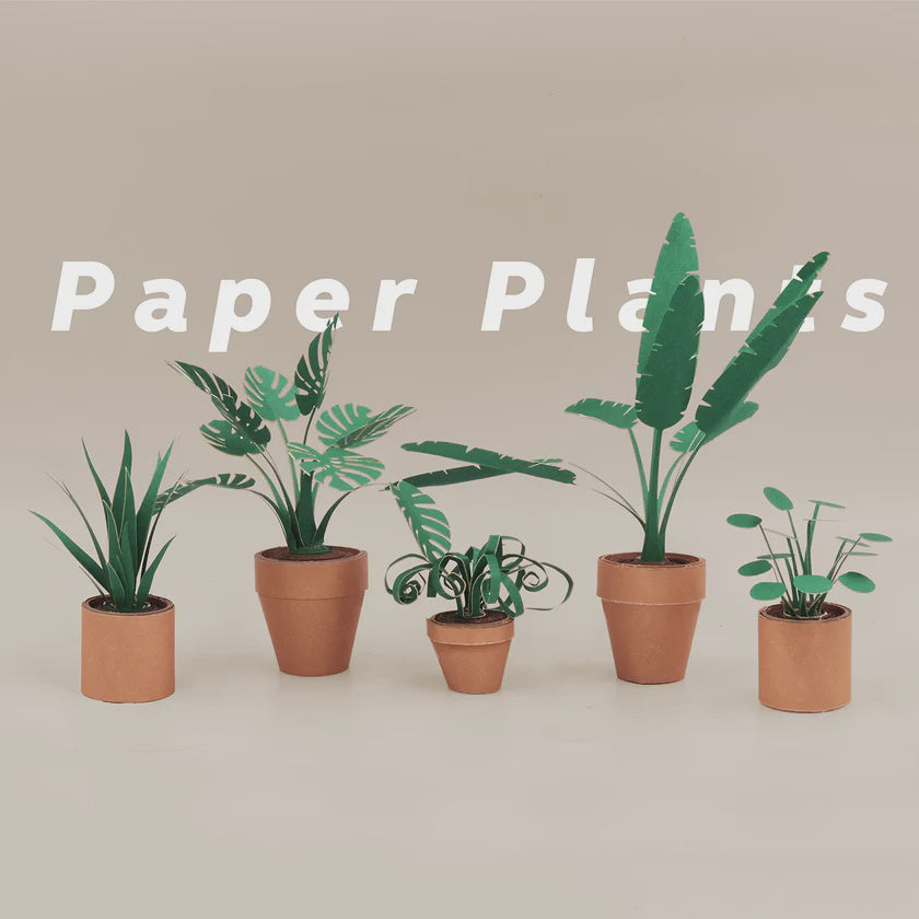 Paper Plants Craft Kit