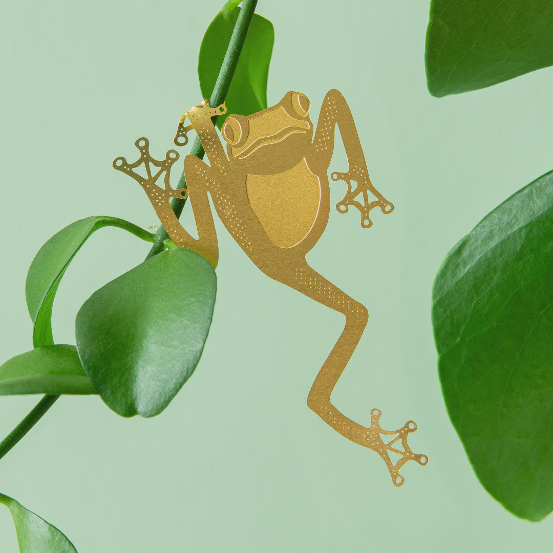 Plant Animal - Tree Frog