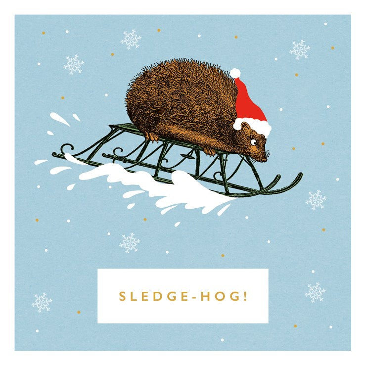 Sledge-Hog Charity Card Set