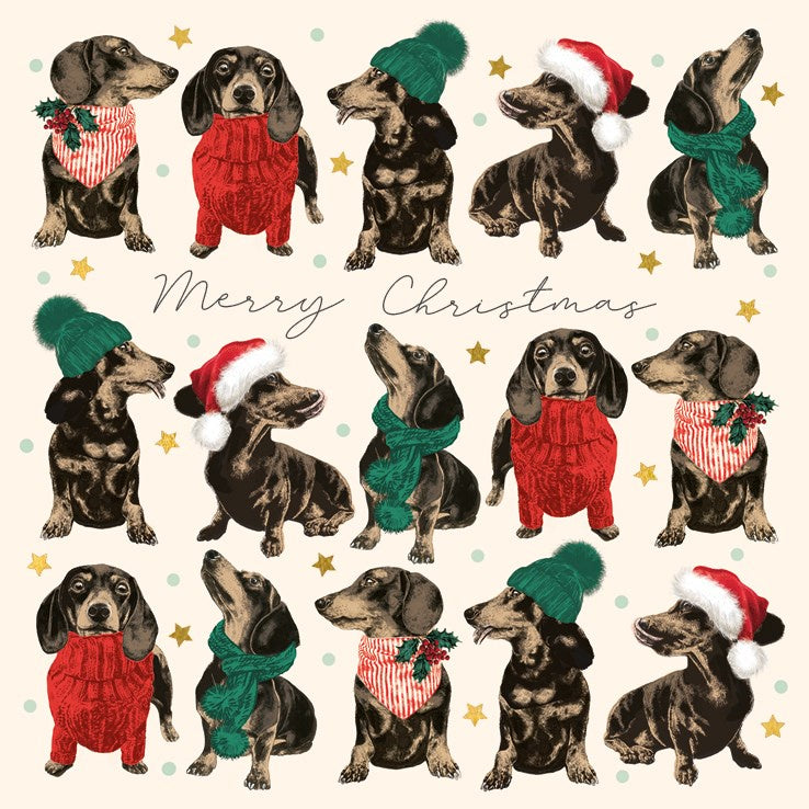 Christmas Dachshunds Charity Card Set