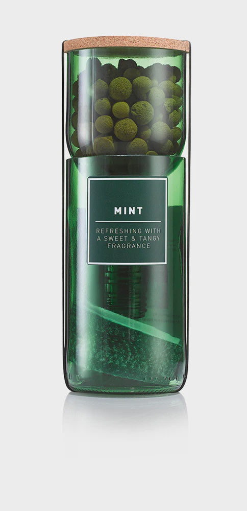 Hydro-Herb Kit Mint