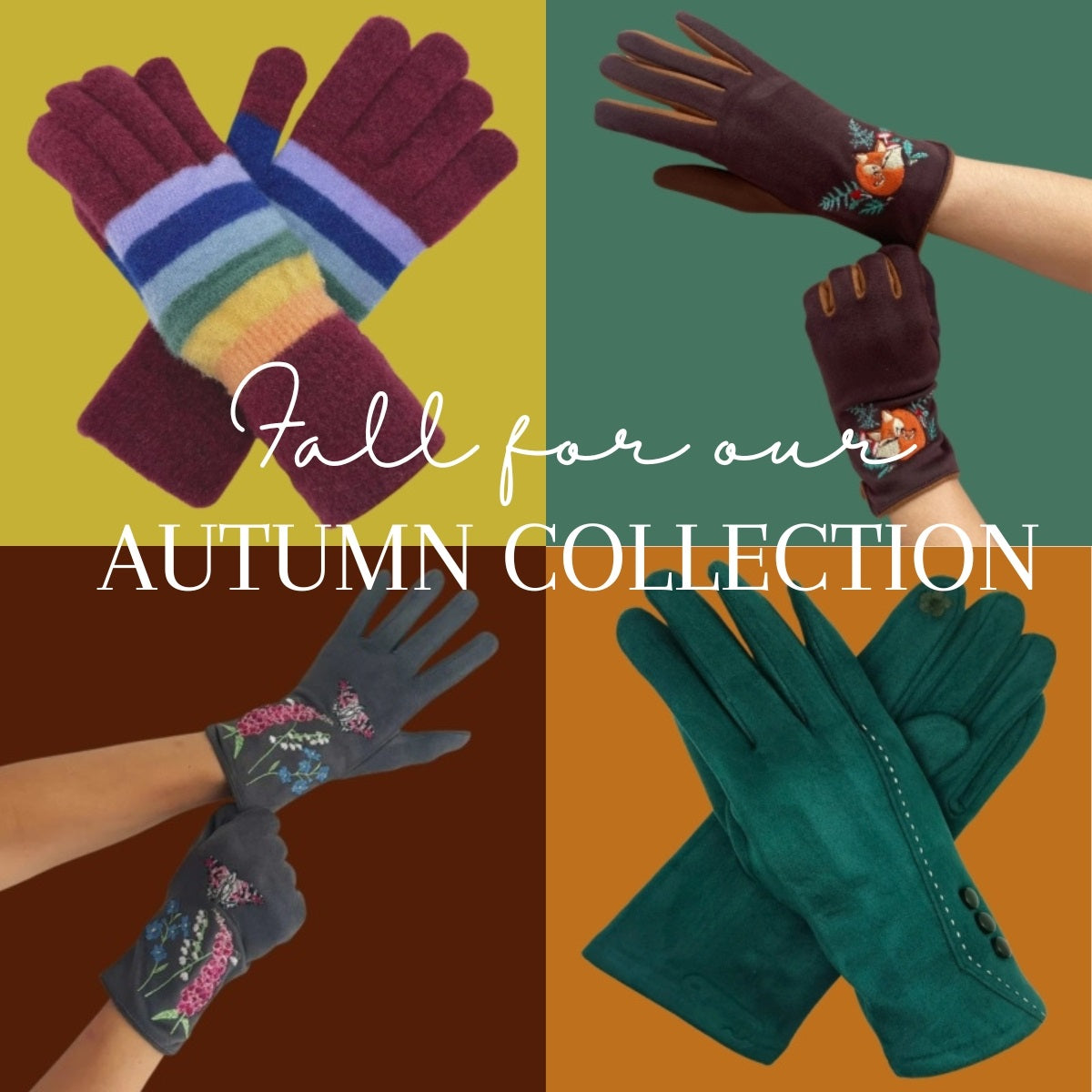 Fall for our Autumn Collection 🍁