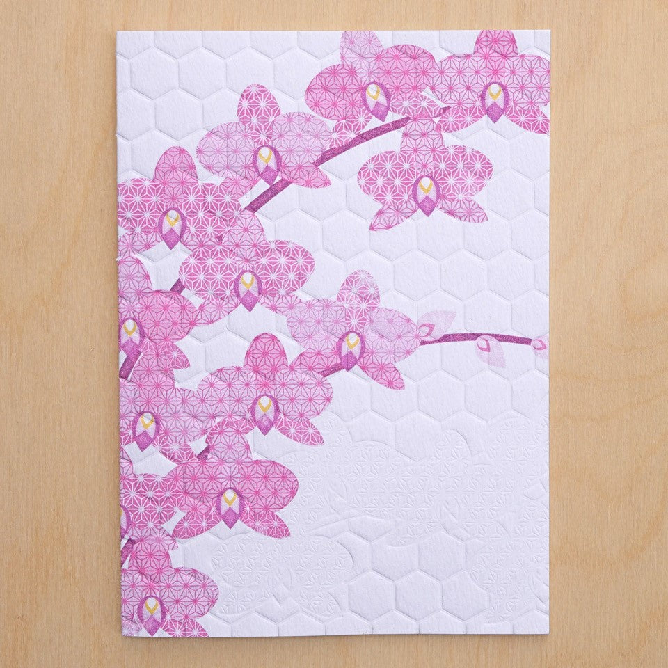 Pink Moth Orchid Card