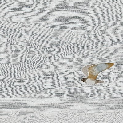 Flight Over The Frozen Marsh Card