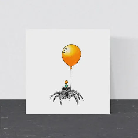 Birthday Spider