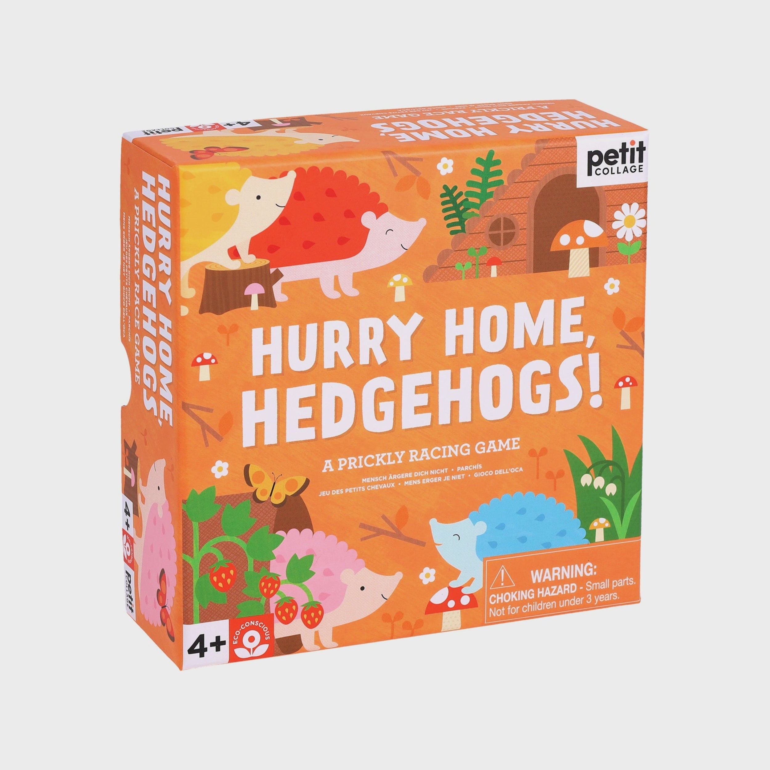 Hurry Home, Hedgehogs Game