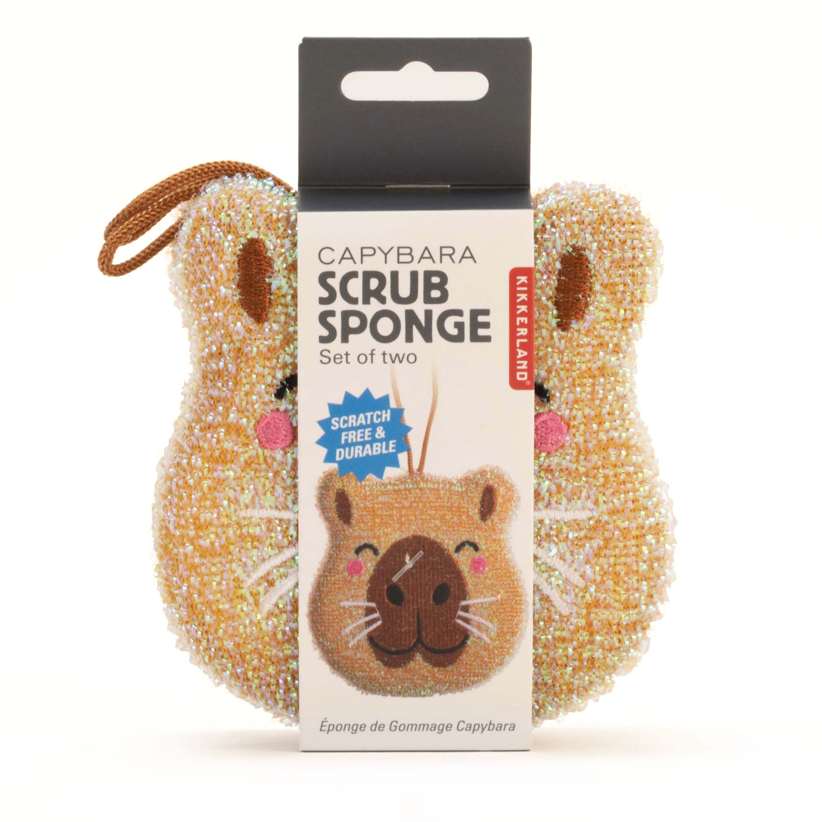 Capybara Sponge Set Of 2