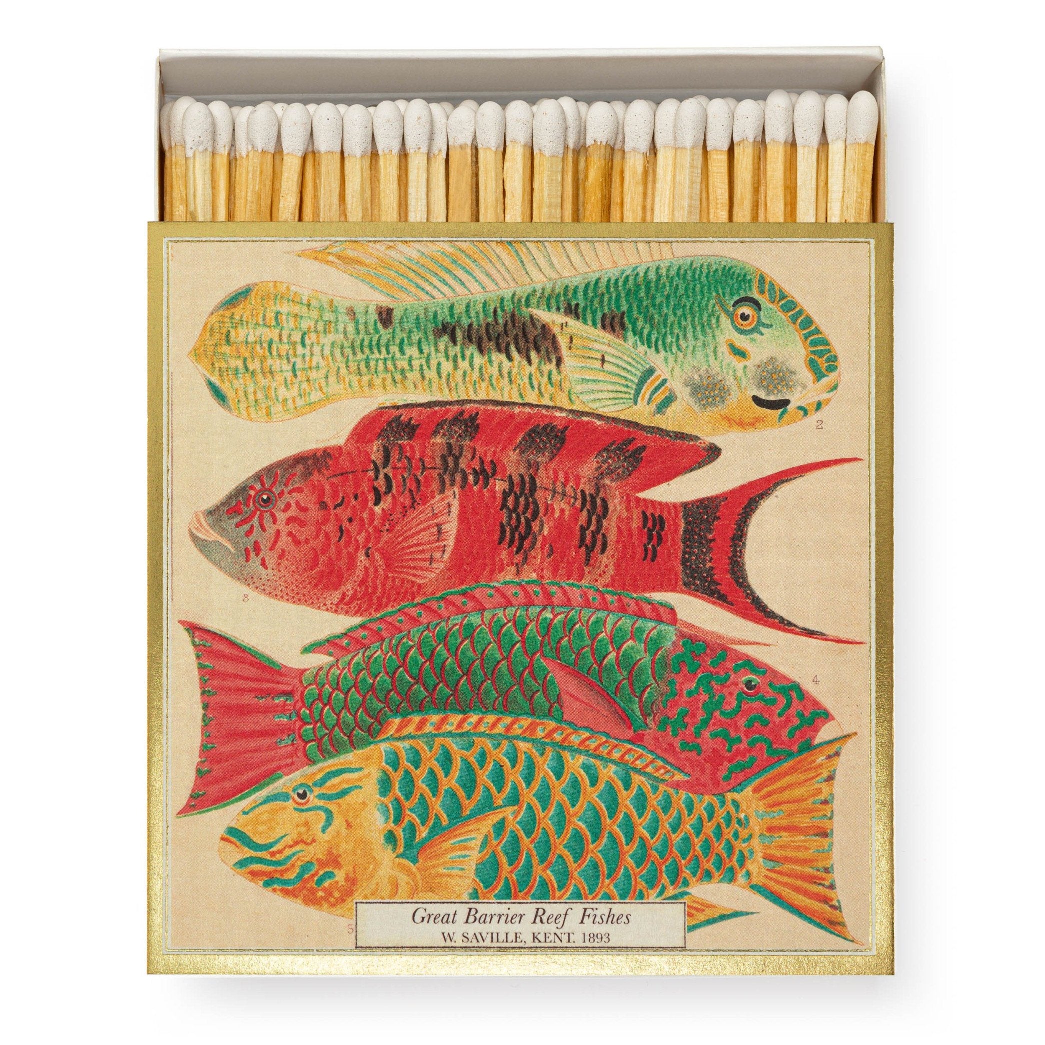 Design Matchbox - Natural History Museum Fish