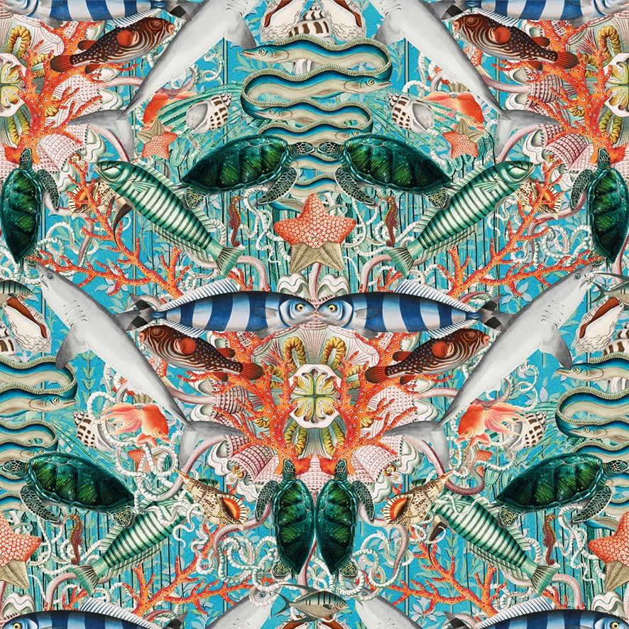 Fish Kaleidoscope Card