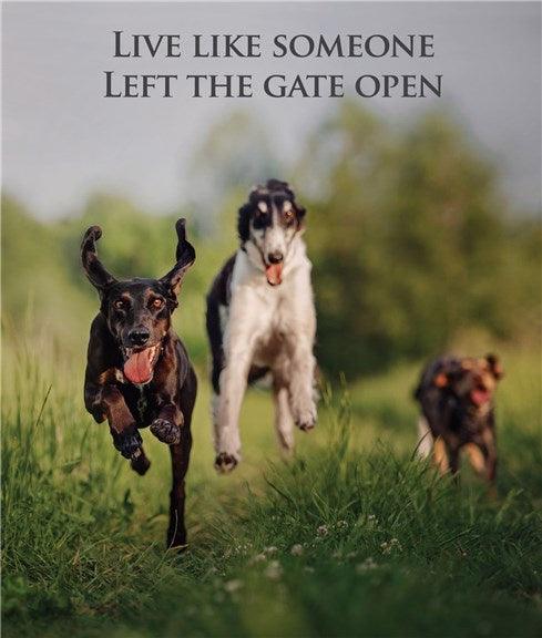 Like the Gates Are Open Card - Pretty Shiny Shop