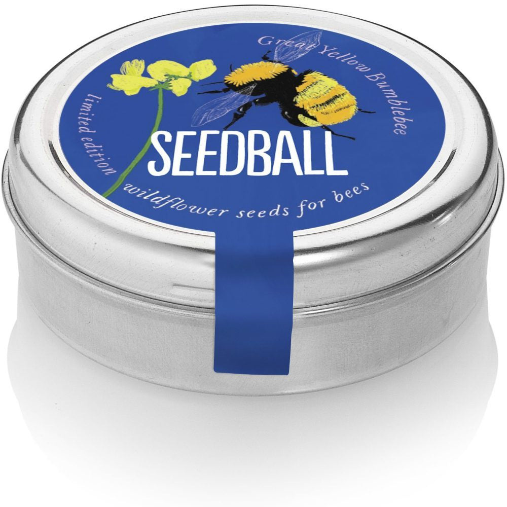Great Yellow Bumblebee Mix Seedball Tin