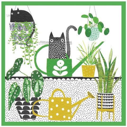 Plants & Cats Card