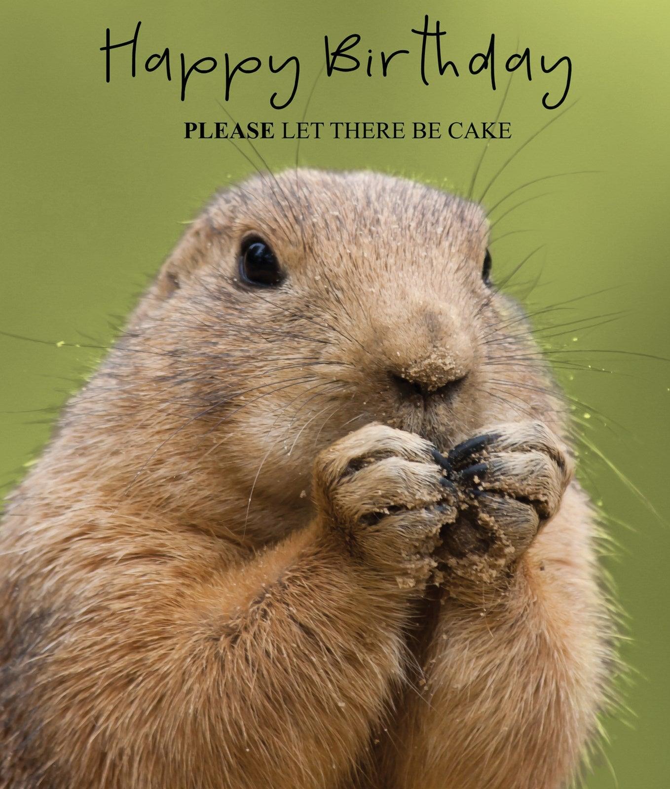 Prairie Dog Cake Card - Pretty Shiny Shop