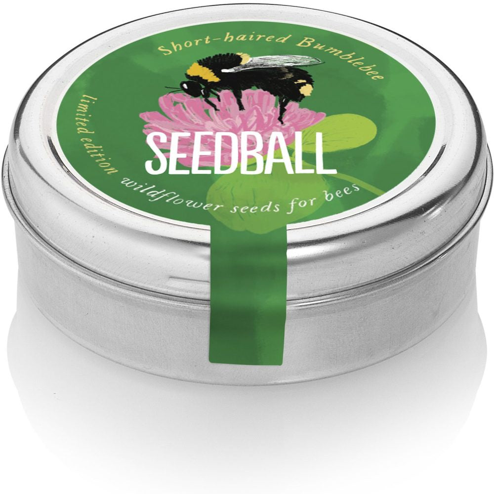 Short-Haired Bumblebee Mix Seedball Tin