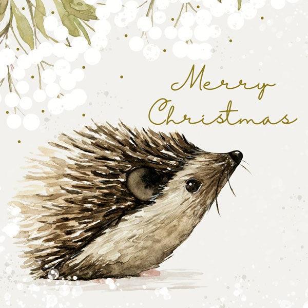 Merry Christmas Hedgehog Charity Card Set - Pretty Shiny Shop