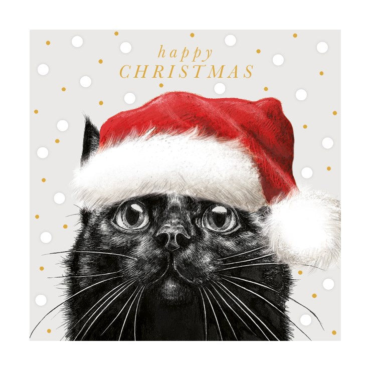 Santa Hat Cat Charity Card Set